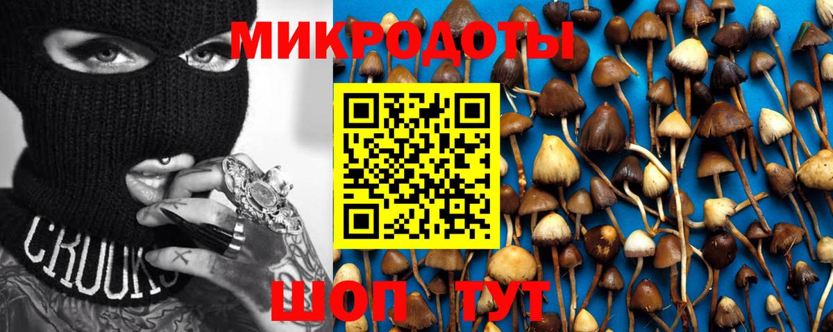 Псилоцибиновые грибы Cubensis Чернушка